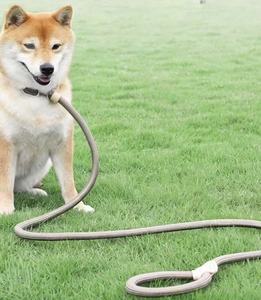 Cuerda trenzada de alta resistencia, cuerda redonda de nailon ajustable, cuerda de poliéster duradera de cuero y Collar, correa para correr para perros, cadena P para perros - Product Image 4