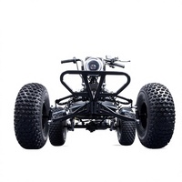 Kart électrique tout-terrain Moteur 1200W Batterie au lithium Freins hydrauliques Panneau d'instrumentation LCD Vitesse maximale de 40 km/h Capacité de charge de 120 kg
