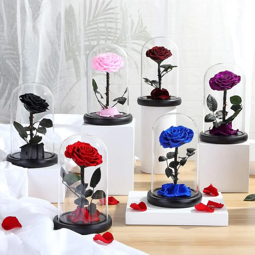 Wholesale long lasting fresh forever real touch preserved rose flower in glass dome