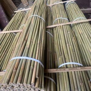 Cannes de soutien pour plantes de bambou pour les semis de pépinière - Product Image 5