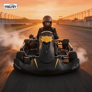 Karting à essence pour adultes, course de drift, 225cc, 4 temps, 9,5 CV, frein à disque hydraulique puissant, certifié CE, durable - Product Image 1