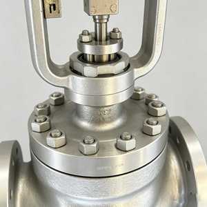 Válvula de Control de Globo Eléctrica ANSI de 6 Pulgadas, 300 WCB, Motorizada, Modulante, Reguladora de Flujo y Presión para Vapor, <span class=keywords><strong>Agua</strong></span>, Petróleo y Gas - Product Image 4