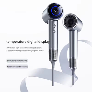 Secador de Pelo Profesional de Alta Calidad con Motor DC, Iónico, de Pared, para Viajes, Salón, Hotel y Uso en Exteriores - Product Image 6