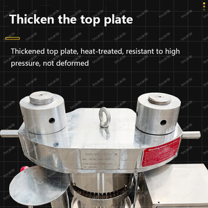 Hydraulic Pinenut Cocoa Bean Oil Press Machine Cocoa Butter Press Machine Palm <strong>Kernel</strong> Oil Pressing Machine - Product Image 3