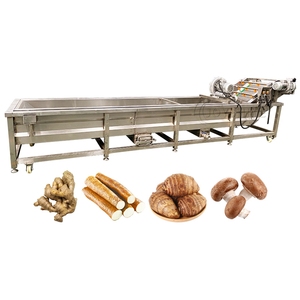 Haute qualité automatique en acier inoxydable bulle légumes fruits gingembre pomme de terre bulle éplucheur lavage épluchage Machine de nettoyage - Product Image 1