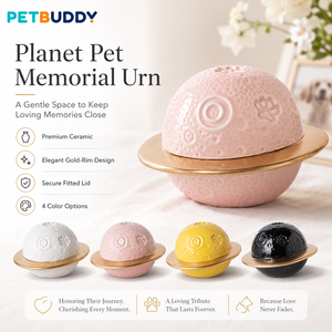 White Ceramic Pet Urn Planet Shape <b>Memorial</b> Keepsake <b>Box</b> for Cats and Dogs Remembrance Decor - Product Image 3