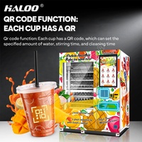 Haloo Automaat Leverancier Semi-Automatische 24 Uur Frozen-Fruit Smoothie Blender Machine Fruit Smoothie Automaat