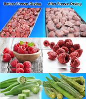 Meilleure qualité 10kg 15kg lyophilisateur séchage des aliments lyophilisateur prix de la machine pour la maison avec pompe à vide sans huile USA en stock