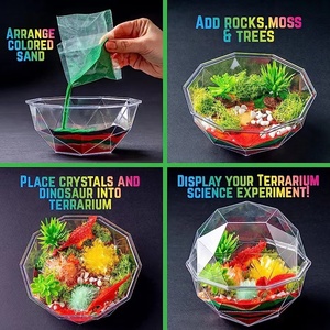 Kit de Terrario de Dinosaurios de Cristal para Cultivar en Casa, Divertido Kit de Cultivo de Cristales con Figuras de Dinosaurios y Semillas para Cultivar Cristales para Niños - Product Image 3