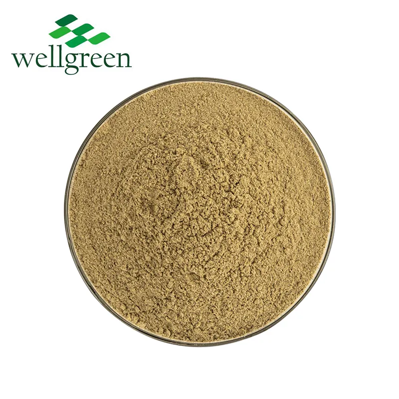 Bulk Herb Majoram Leaves Dried Organic Dry Extract Origanum Oil Leaf Vulgare Oregano Powder