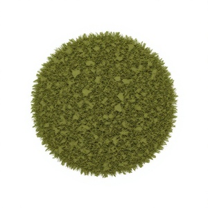 Feuilles séchées d'Adhatoda Vasica, ingrédient à base de plantes, feuilles entières d'Adhatoda Vasica naturelles, feuilles séchées d'Adhatoda Vasica de qualité supérieure - Product Image 1