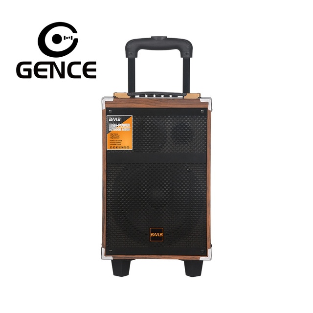 GENCE Premium 8-Inch Wooden Trolley Speaker with for RGB LED Lights Aux Input Wireless Mic for Karaoke & Square Dancing