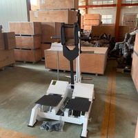 Machine à Squat à la Ceinture pour Hanches, Usage Commercial, Équipement de Fitness à Charge de Plaques Pit Shark