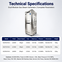 Générateur de vapeur au gaz JOWIN 100-160KW, 140-220 Kg/h, en acier inoxydable 304, pour table de repassage à la vapeur et blanchisserie d'hôtel