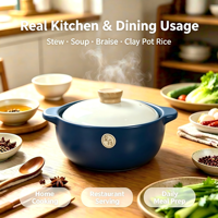 Casserole en céramique avec couvercle, résistante aux hautes températures, compatible gaz, nettoyage facile, passe au lave-vaisselle, non compatible induction, ensemble d'ustensiles de cuisson