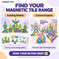 Chengji Briques magnétiques personnalisées Jouets éducatifs OEM ODM Logo Emballage personnalisé Ensemble de jouets de construction STEM Vente en gros