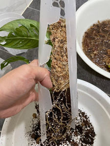 Pôles d'extension en plastique pour plantes grimpantes d'intérieur, pôles de soutien pour plantes grimpantes - Product Image 3