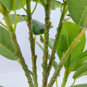 Simular plantas verdes artificiais suculentas, atacado de plantas verdes, suculentas reais, planta amadeirada, paredes de casamento, decoração verde para casa - Product Image 4