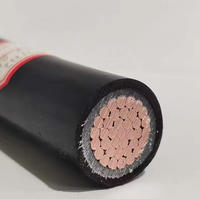 Cables concéntricos de bajo voltaje XP Single 2 ~ 5 Multi Core 35mm2 95mm 185mm 500mm Xlpe Cable de alimentación de cobre con revestimiento de PVC aislado