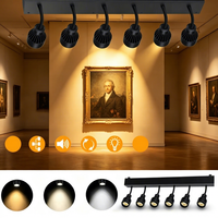 Projecteur LED Redsun à 6 têtes avec zoom et angle réglable pour scène, salle d'exposition, restaurant, musée, exposition, théâtre, studio, club, DMX512