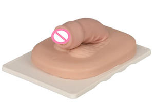 Enseñanza médica Sistema reproductivo masculino quirúrgico <span class=keywords><strong>Circuncisión</strong></span> Modo de <span class=keywords><strong>circuncisión</strong></span> Recursos didácticos - Product Image 4