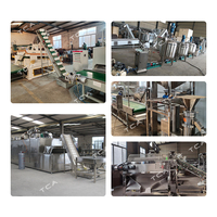 Ligne de production de pâte de pistache de haute qualité TCA, machine à décortiquer et à peler les noisettes, 1 tonne/heure