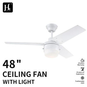 Ventilateurs de plafond modernes à 6 vitesses ultra-silencieux avec éclairage, télécommande, variateur d'intensité, 3 températures de couleur, moteur BLDC réversible, pales en fer – Vente directe usine - Product Image 4