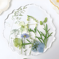 Résine transparente à faible rétrécissement MTBJZJ en gros pour la réparation des fissures du bois et l'encastrement permanent des spécimens de fleurs séchées
