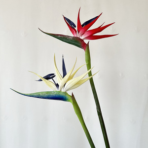 Usine de fleurs artificielles Meiyu Craft, fleurs artificielles en plastique d'oiseau de paradis, aspect naturel et réaliste, décoration intérieure, accessoires de photographie - Product Image 4