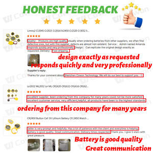 Batterie de remplacement LiMnO2 3V 540mAh CR2450 pour Verifone VX520 avec connecteur filaire - Product Image 6