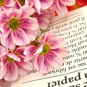 Fleurs artificielles Cosmos, haute simulation, en plastique, pour décorations de mariage, usage intérieur et extérieur - Product Image 3