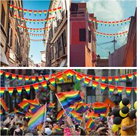 Drapeau arc-en-ciel de la fierté LGBTQ+ en gros, nouveau, élaboré, pour la fierté gay, lesbienne, pansexuelle et bisexuelle