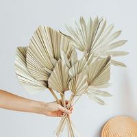 2026 Les feuilles de palmier séchées de grande taille, très vendues, pour la maison, les événements, les mariages, la décoration et les bouquets de fleurs