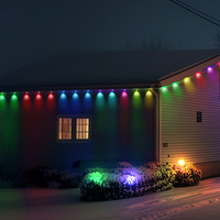 Lampes LED IP67 étanches en polycarbonate avec émission de couleur RVB pour la décoration de bâtiments