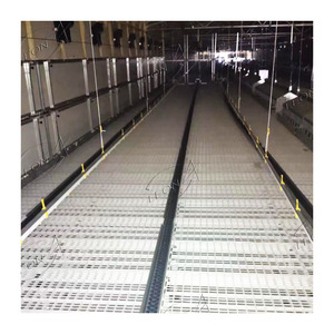 בשר חזיר אוטומטי <span class=keywords><strong>broiler</strong></span> מניות בשר עוף חקלאות בשר עוף - Product Image 4