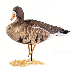 Señuelo de Ganso de Plástico EVA Ligero y Resistente a la Decoloración - Cebo de Caza Plegable al por Mayor para Caza al Aire Libre y Decoración de Jardín - Product Image 5