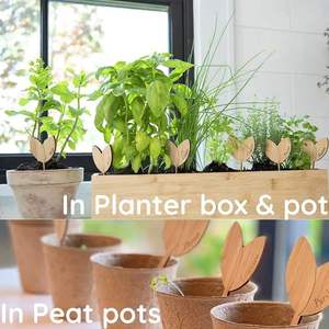 Étiquettes de plantes de pépinière de bricolage industrielles étiquettes de jardin de forme chaude avec stylo marqueur pour graines herbes <span class=keywords><strong>en</strong></span> <span class=keywords><strong>pot</strong></span> fleurs légumes - Product Image 6
