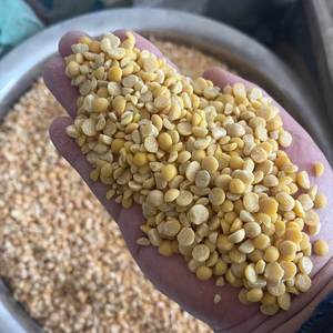 Macchina Sbucciatrice per Vetch/Rimozione Buccia di Piselli/Sbucciatrice per Soia in Offerta per la Polonia - Product Image 6