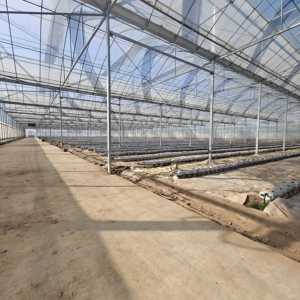 Invernadero conectado de película fina de alta eficiencia para una <span class=keywords><strong>agricultura</strong></span> <span class=keywords><strong>sostenible</strong></span> - Product Image 4