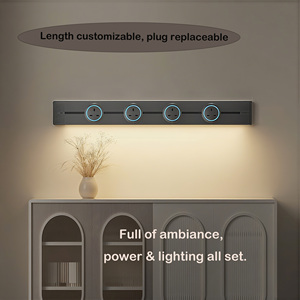 <span class=keywords><strong>Prise</strong></span> de rail amovible personnalisable UK/EU/US USB Socket Set 32A Kitchen Sideboard Induction Light Strip Track Socket avec prises - Product Image 3