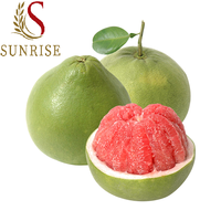 Biologische verse grapefruit pomelo citrusvruchten groene schil roze vruchtvlees 2kg Graad A 100% rijp Ben Tre Vietnam export
