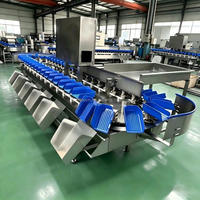 Fabrieks Prijs Gewichtssorteermachine voor Groenten Fruit 304 RVS Aquatische Producten Sorteerder