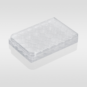 Ps pelat sumur Lab transparan bahan Ps plastik sekali pakai <span class=keywords><strong>6</strong></span> Well/12 Well/24 Well <span class=keywords><strong>Cell</strong></span> <span class=keywords><strong>Culture</strong></span> <span class=keywords><strong>Plate</strong></span> - Product Image 2