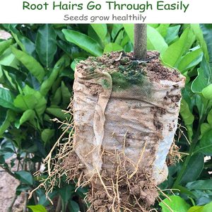 Biodegradabile degradabile non-tessuto vivaio <span class=keywords><strong>sacchetti</strong></span> di tessuto non tessuto pianta sacchetto di scuola materna Vasi Semina Delle Piante - Product Image 5