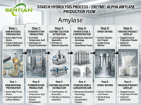 Poudre d'enzyme alpha-amylase de qualité alimentaire CAS 9000-90-2, haute activité, pour la transformation de l'amidon, la pâtisserie et la brasserie