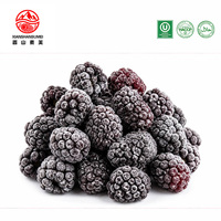 Diepvries Zwarte Bessen Hele IQF voor IJs Desserts Catering Natuurlijk Zoete Bessen 10kg Doos Bulk Levering