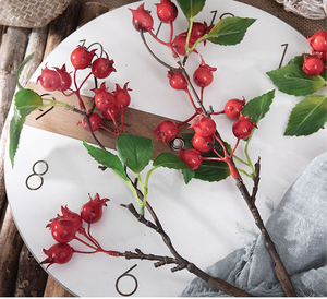 Trái cây nhân tạo siêu thực, cành quả dại giả, cành giả trang trí nhà cửa, phòng khách, nhà hàng, quán cà phê, trong nhà, ngoài trời - Product Image 2