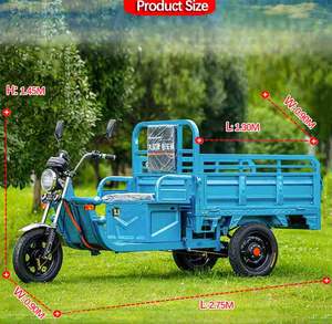 Usine directe <span class=keywords><strong>benne</strong></span> mini camion agricole cargo tricycle scooter vélo 3 roues électrique cargo tricycle - Product Image 2