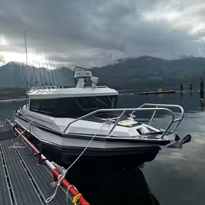 Yacht sportif <span class=keywords><strong>de</strong></span> <span class=keywords><strong>luxe</strong></span> en aluminium du Canada, 9 m/29,5 pi, bateau <span class=keywords><strong>de</strong></span> pêche en haute mer avec moteur hors-bord pour la croisière - Product Image 4