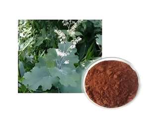 באיכות גבוהה macleaya תמצית 40% אבקת <span class=keywords><strong>sanguinarine</strong></span> - Product Image 4